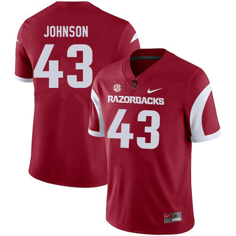 Men #43 Cedric Johnson Arkansas Razorbacks College Football Jerseys Sale-Cardinal